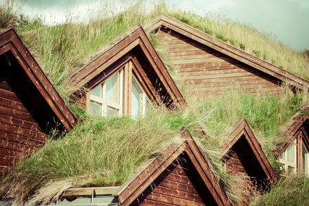 Typical norwegian house with grass on the roofの写真素材