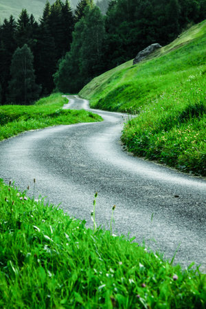Scenic road through green forest in Switzerlandの写真素材