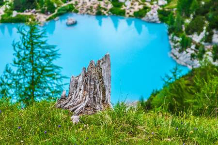 Turquoise Sorapis Lake with Pine Trees and Dolomite Mountains in the Back - Sorapis Circuit, Dolomites, Italy, Europeの写真素材