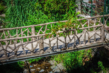 Wooden bridge in the forest at the riverの写真素材