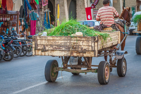 Horse and a cart on a street in Tozeur,Tunisiaのeditorial素材