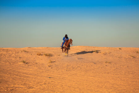Local people on horses, in the famous Saraha desert,Douz,Tunisiaの写真素材