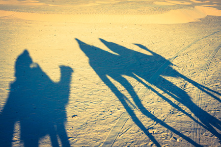Douze,tunisia,camel and people in the sahara's desertの写真素材