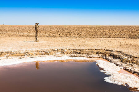 Chott el Djerid, salt lake in Tunisiaの写真素材