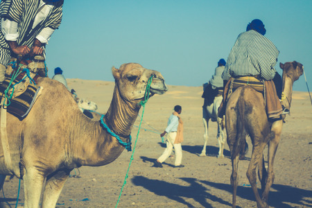 Beduins leading tourists on camels at short tourist tour around the beginning so called Doors of...