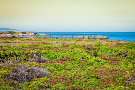 Beach of the Cathedrals in Ribadeo, Galicia, Spainの写真素材