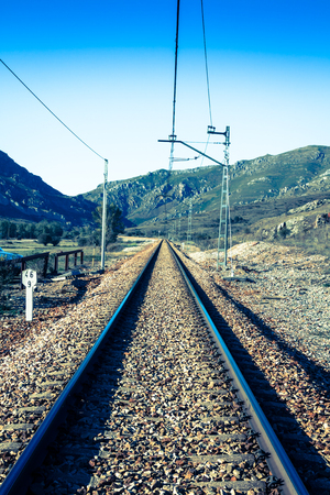 railway in green landscape natureの写真素材