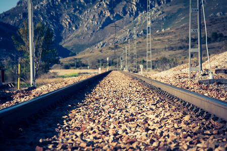railway in green landscape nature