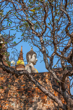 Buddha of statue in Ayutthaya Thailandの写真素材