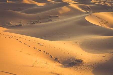 Sand dunes in the Sahara Desert, Merzouga, Moroccoの写真素材