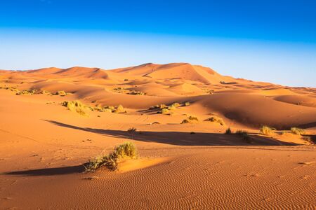Sand dunes in the Sahara Desert, Merzouga, Morocco