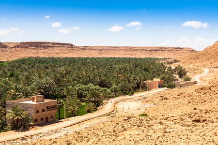 A village at an oasis at the bottom of a canyon in the Atlas mountains, Morocco