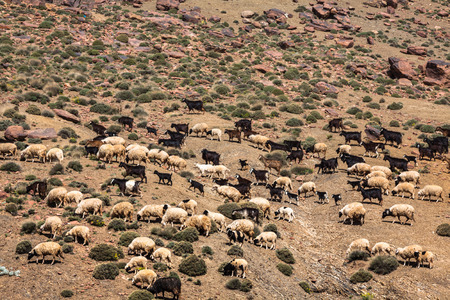 Atlas mountains highway, Moroccoの写真素材