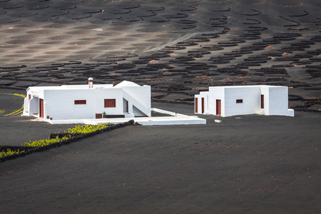 wine farm in la geria lanzaroteのeditorial素材