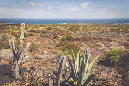 field in rural area with blue sky near Hariaの写真素材