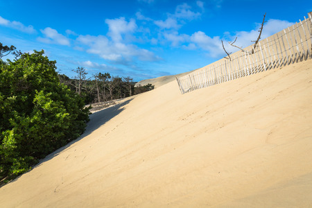Great Dune of Pyla, the tallest sand dune in Europe, Arcachon bay, Franceの写真素材