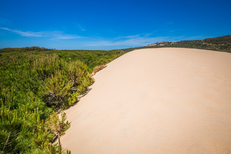 Sand dune of Bolonia beach, province Cadiz, Andalucia, Spainの写真素材