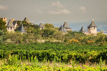 Vineyards growing outside the medieval fortress of Carcassonne in Franceのeditorial素材