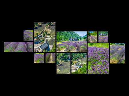 Collage of lavender field in the Gordes, Franceの写真素材