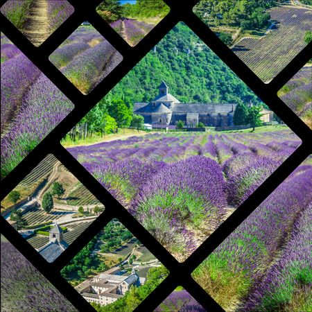 Collage of lavender field in the Gordes, Franceの写真素材