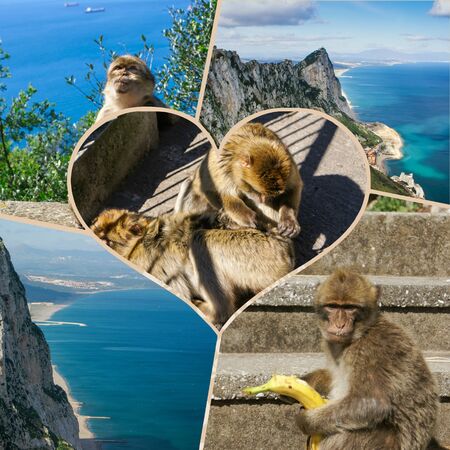 Collage of Gibraltar (my photos)の写真素材