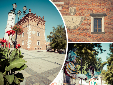 Collage of Sandomierz Royal Castle - Sandomierz.のeditorial素材