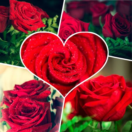 Coolage of Red Roses on Valentine's Day .の写真素材