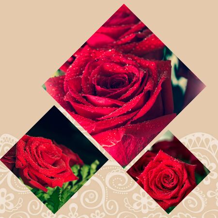 Collage of red rose closeup with drop.の写真素材