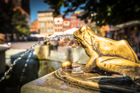 Bronze gilded frog sculpture pouring water, detail of a fountain in Torun, Poland.の写真素材