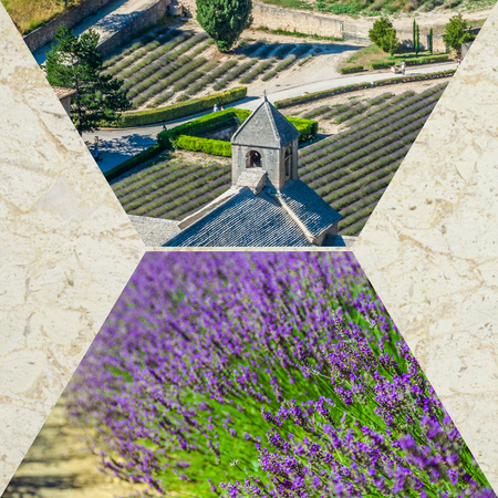 Collage of lavender field in Provence,France