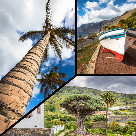 Collage of o Tenerife Spain Europeの写真素材