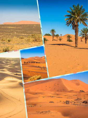 Collage of sand dunes in Merzouga, Morocco Africa.の写真素材