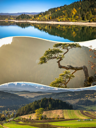 Collage of Pieniny beautiful views of the Mountains Poland.の写真素材