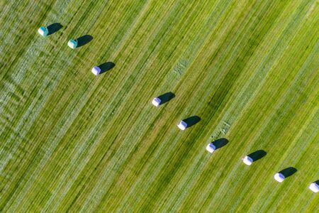 Aerial view of round hay bales