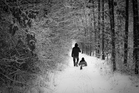 Winter walk: dad sledging with son. Father pulling sled with son in snowy day. Man and child enjoy ride and smileの写真素材