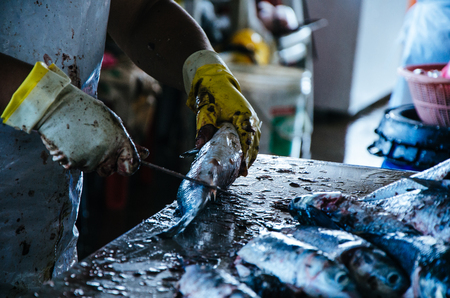 Preparing the fish, removing the scales from the fish so that it can be sold in the marketの写真素材