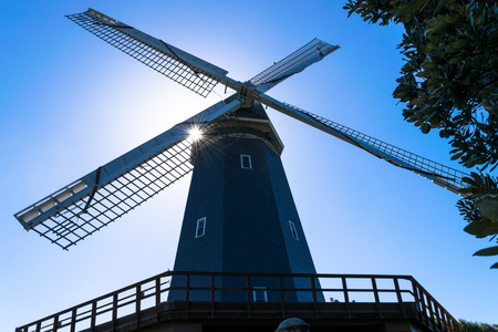 Murphy Windmill South Windmill in the Golden Gate Park in San Francisco, California, USA.の写真素材