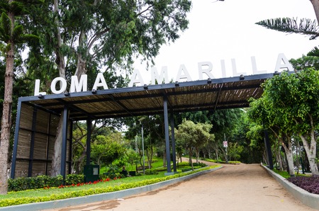 Loma Amarilla an ecosystem with more than 4,000 square meters of pure air. Habitat of 34 species of birds and 25 types of trees, considered one of the last ecological lungs of Lima.の写真素材