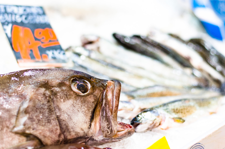 Seafood, fresh fish on ice at the market.の写真素材