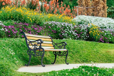 Empty single wooden seat in forest woodlands at summer weather sunshineの写真素材