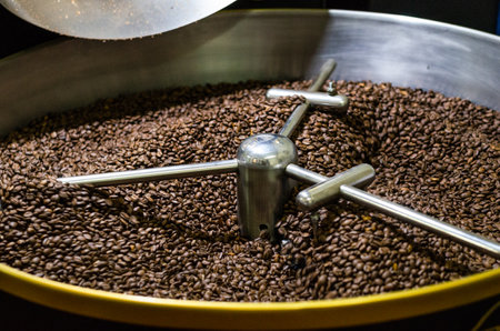 Freshly roasted coffee beans from a large modern coffee roaster are stirred in the cooling cylinder