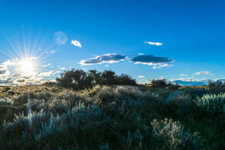 Rural landscape. Bright sun over the green field at summer