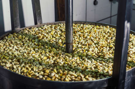 Preparation of the traditional Peruvian corn tamal, industrial corn peeler.の写真素材