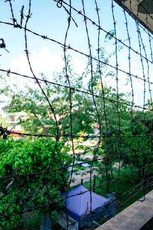 Iron steel net mesh wall facing a garden.の写真素材