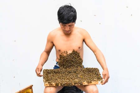 A beekeeper covered in bees, bee treatment.の写真素材
