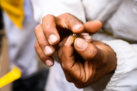 Bee queen on hand of beekeeper.