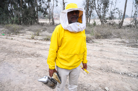 A beekeeper in a protective suit works with bees. A beekeeper inspects wooden beehives. Beekeeping....