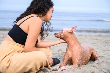 Young woman petting her dog while relaxing on the beachの写真素材