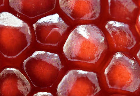 pomegranate textureの写真素材