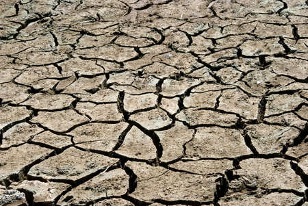 dry, cracked earth